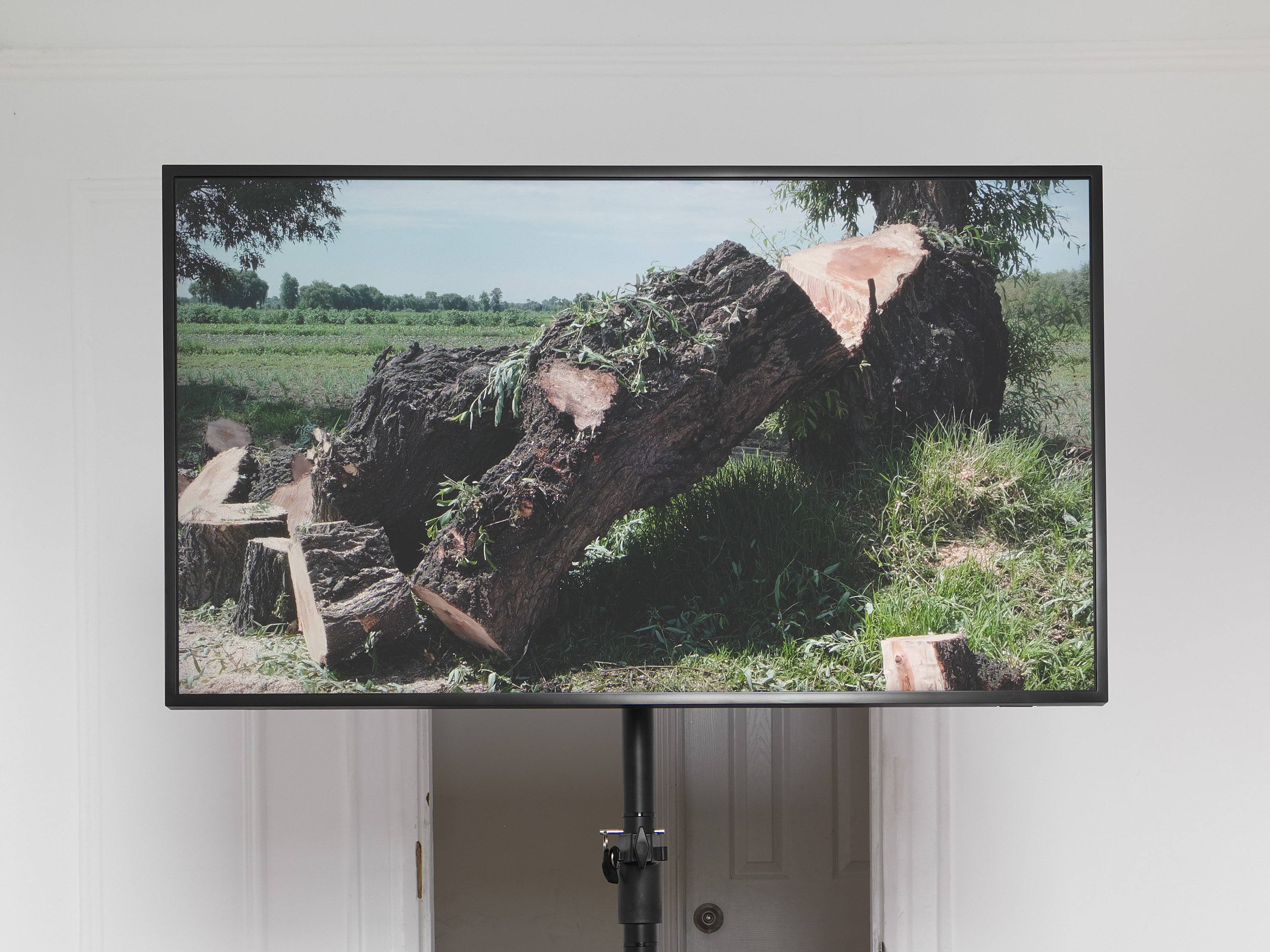 Current Exhibition Image 1